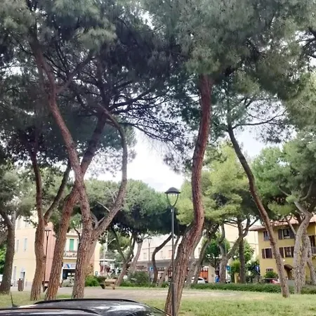 Appartamento Casa Rossella By Affitti Brevi Rimini