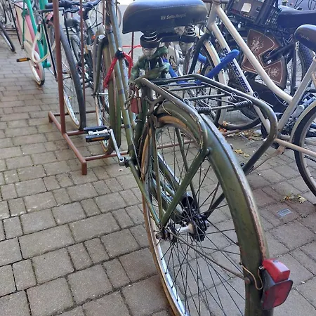 Casa Rossella By Affitti Brevi アパート *